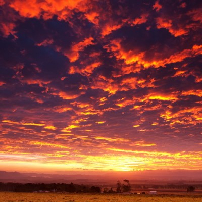 1920 x 1080 HD Wallpapers 2972